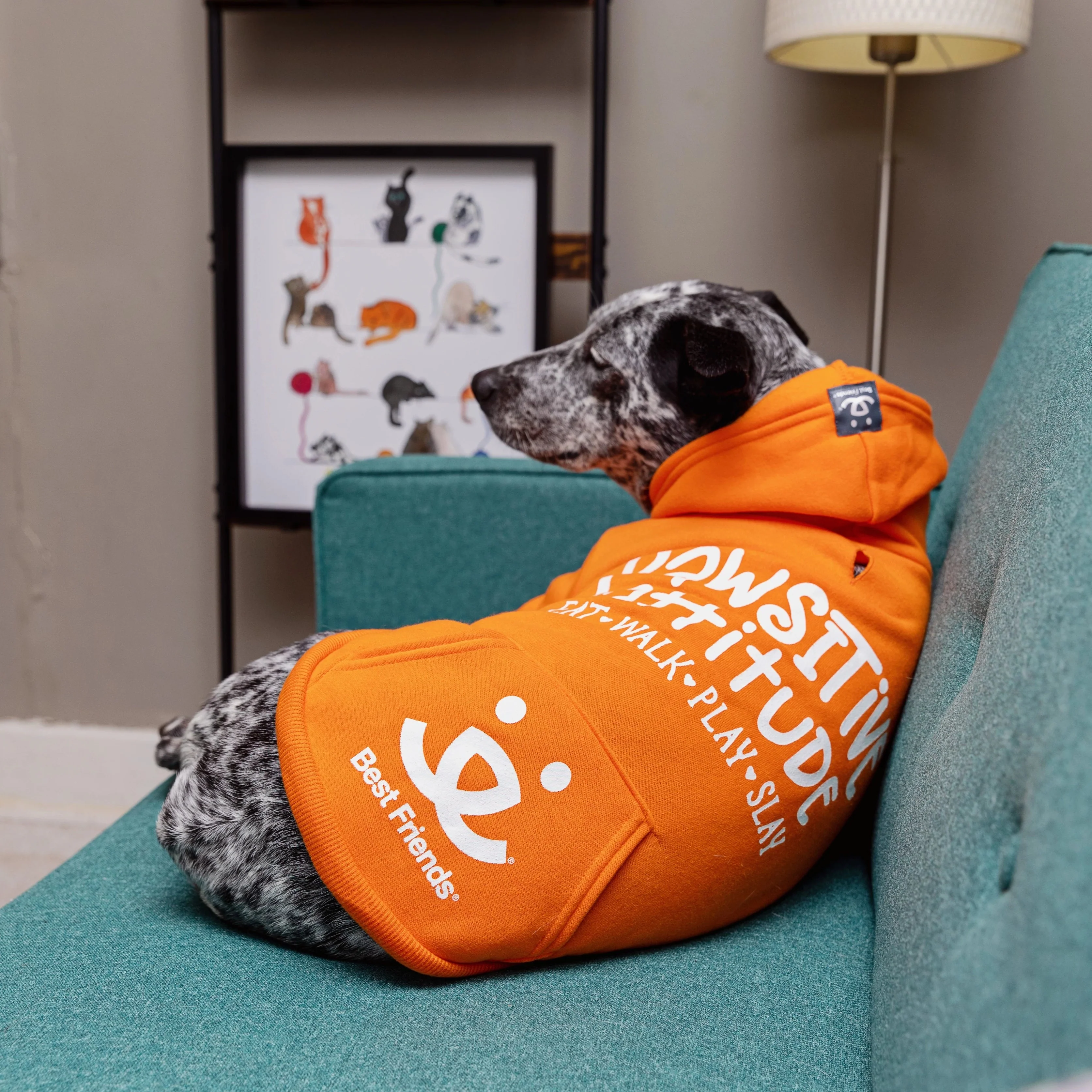 Pawsitive Attitude Dog Hoodie - Image 16