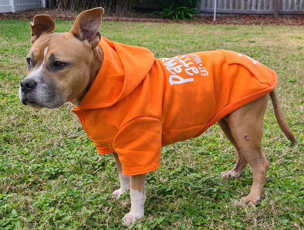Pawsitive Attitude Dog Hoodie - Image 22
