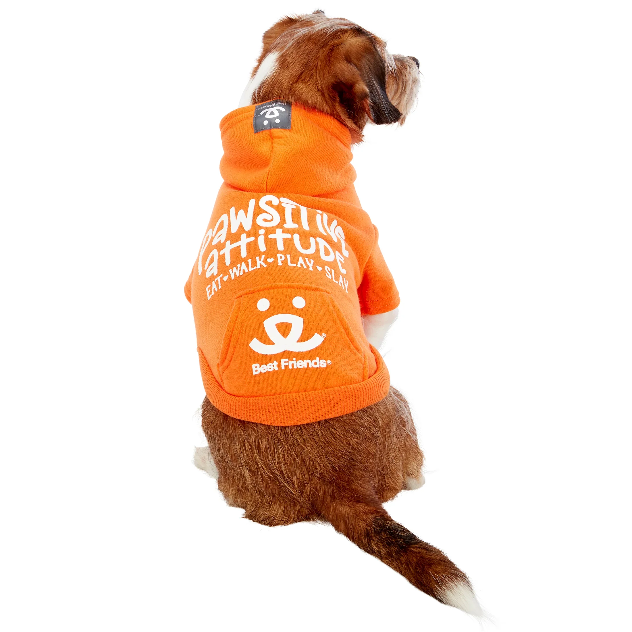 Pawsitive Attitude Dog Hoodie - Image 6