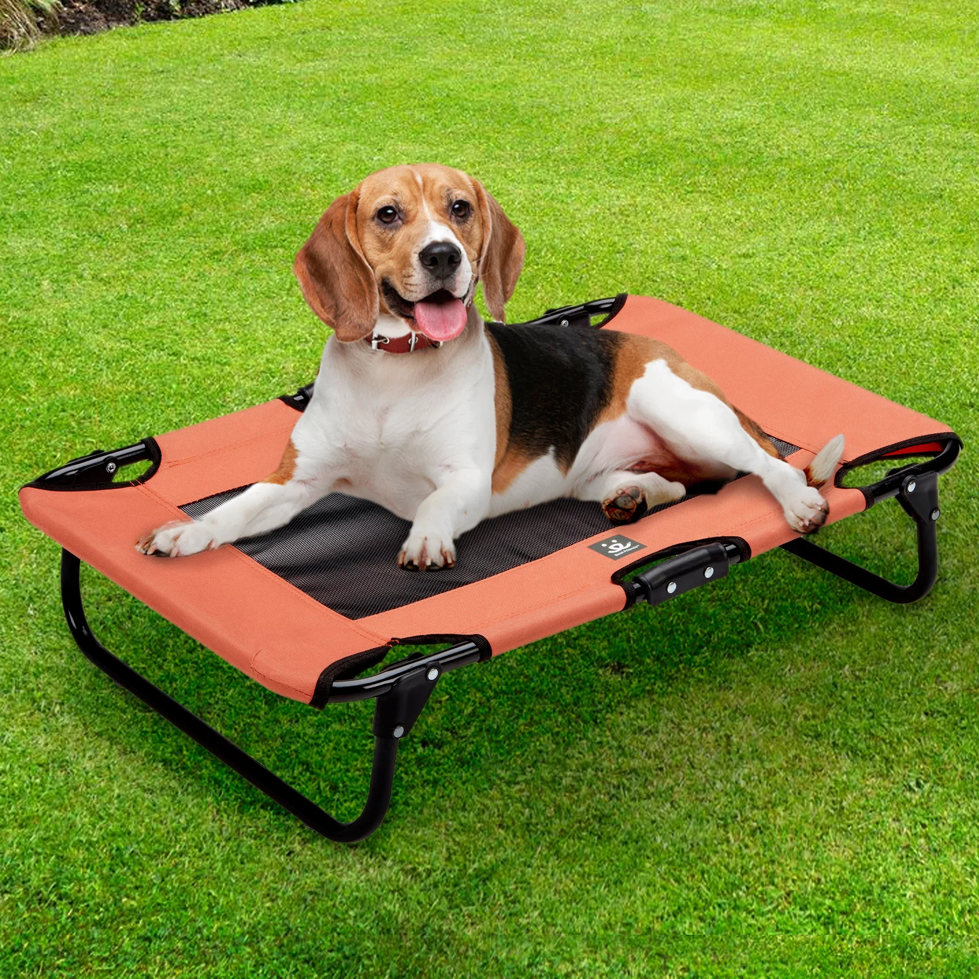Folding Pet Cot w/Collapsible bowl - Image 3