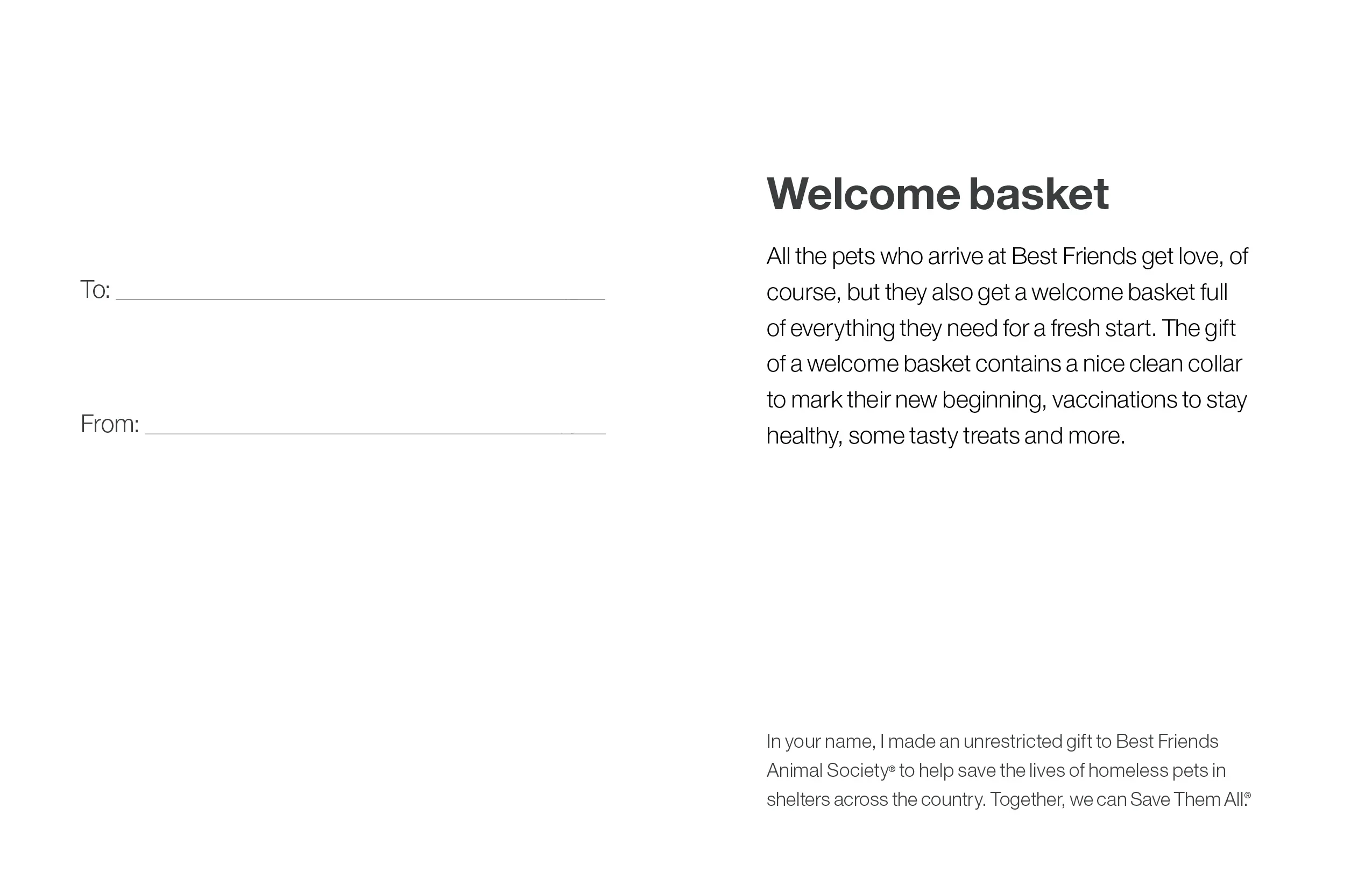 Welcome Basket - Image 4