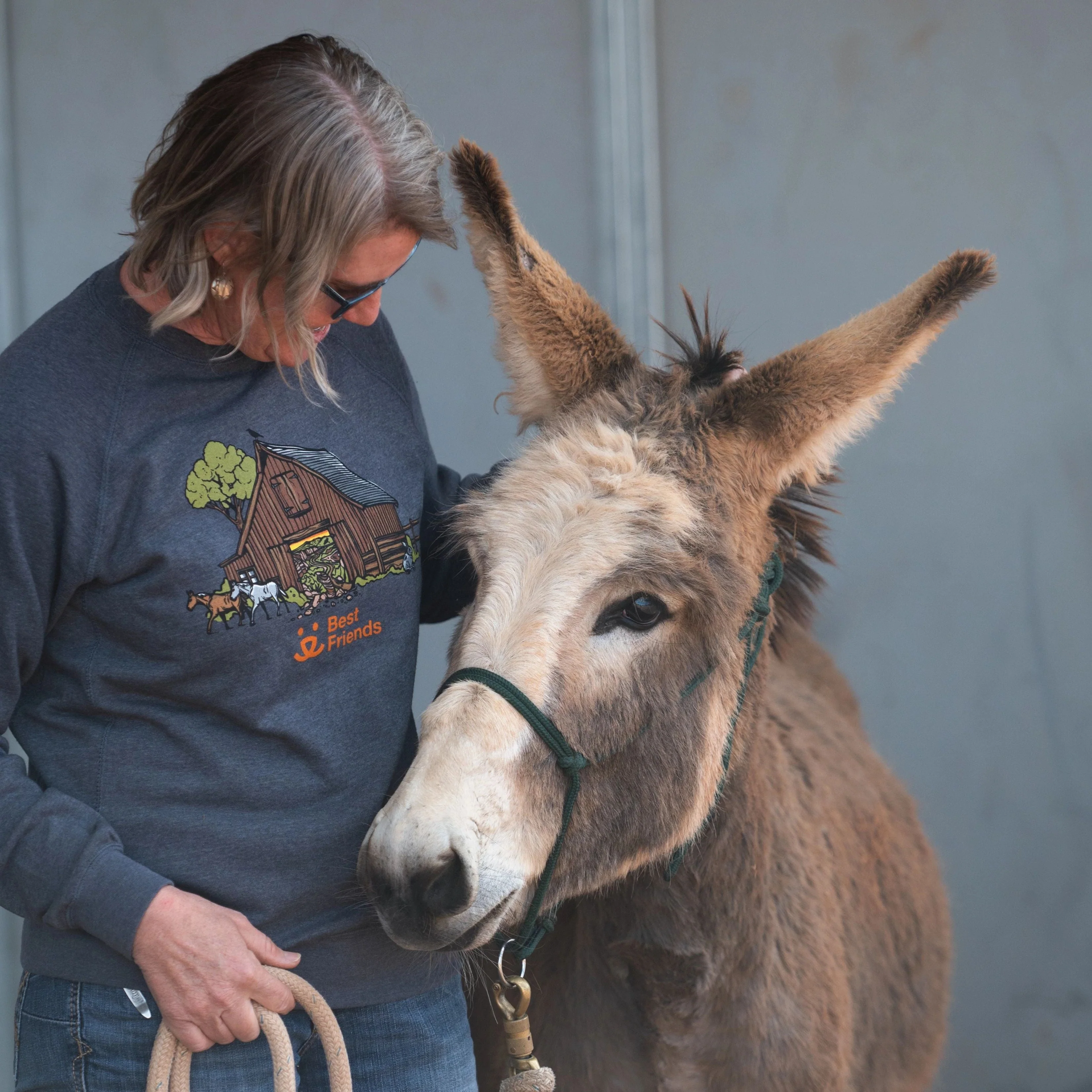 Wild Tribute Barn Crewneck - Image 3
