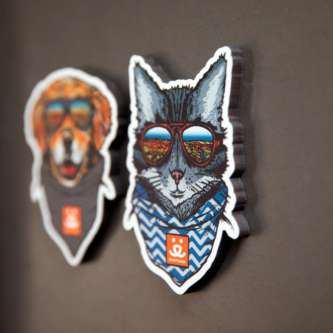 Wild Tribute Magnet Cat - Image 3