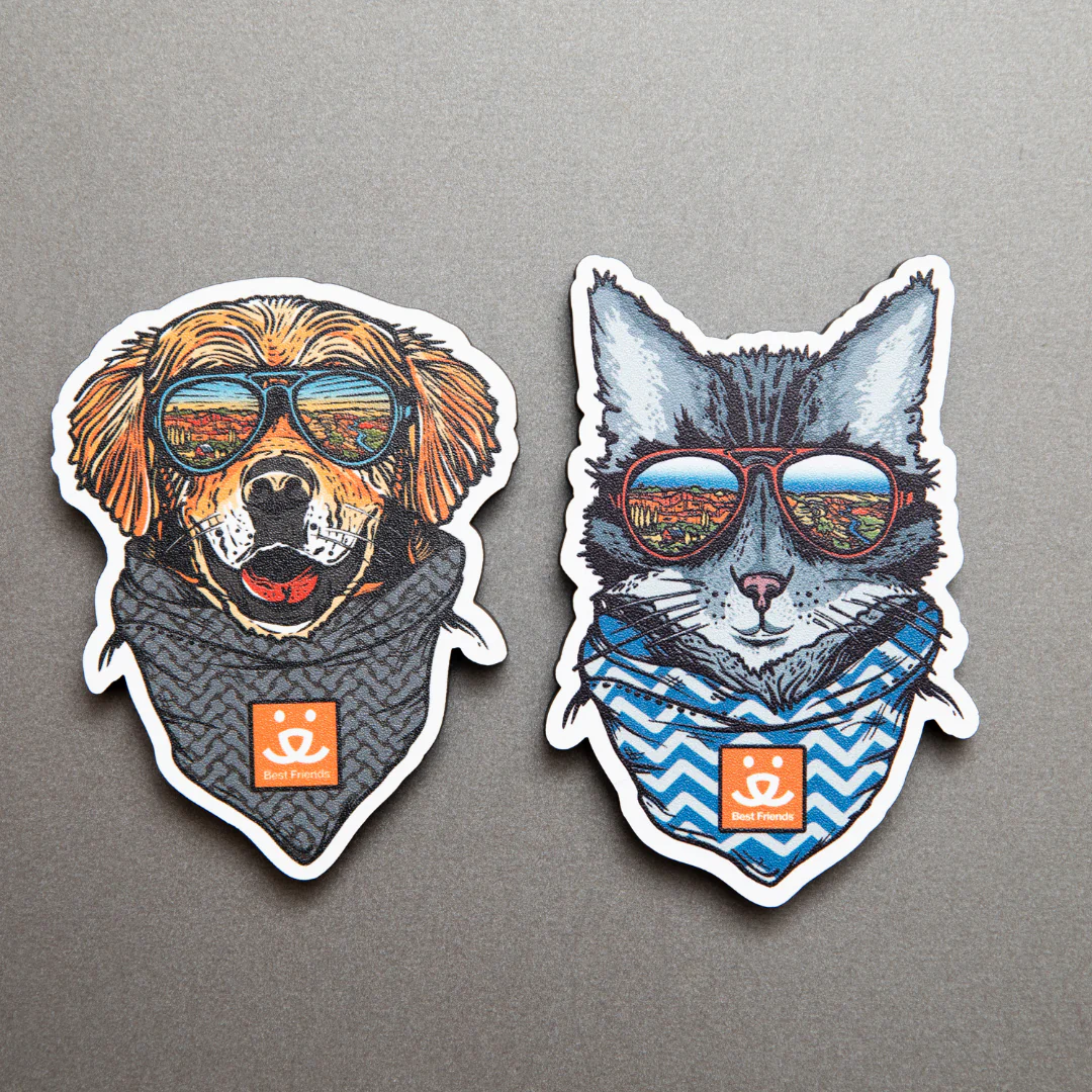 Wild Tribute Magnet Cat - Image 4