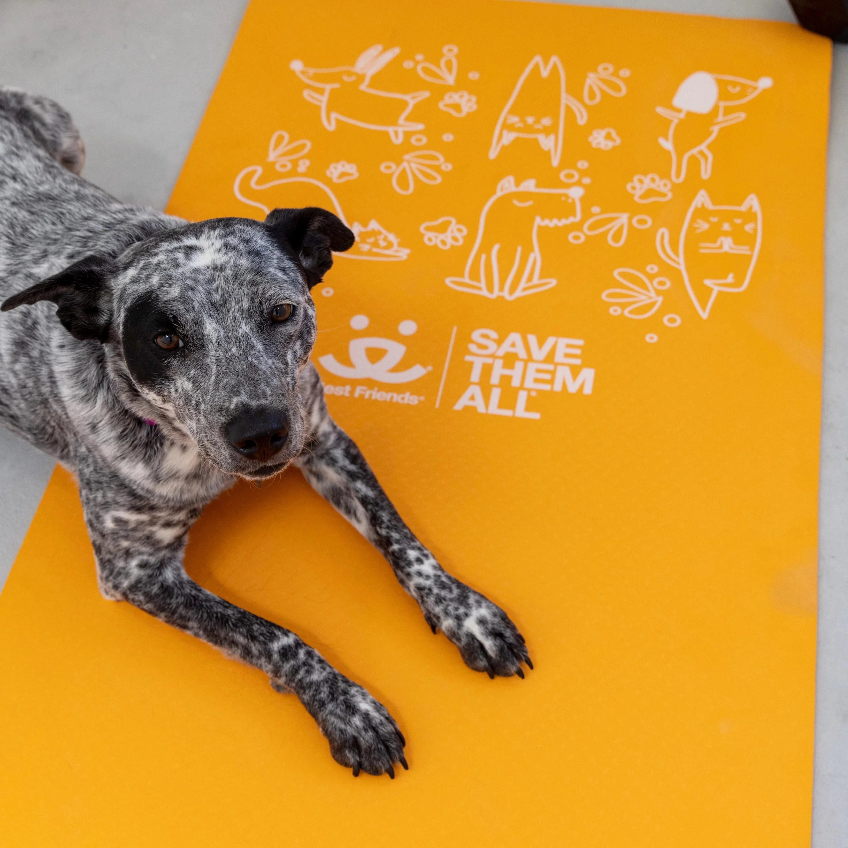 Yoga Mat - Image 4